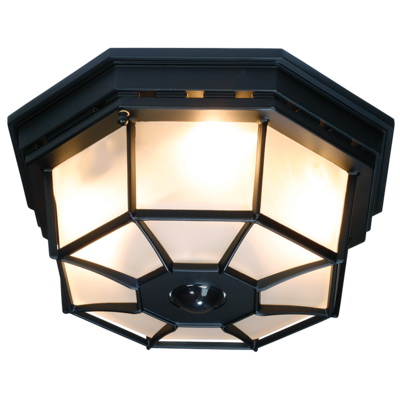 Outdoor Ceiling-Mount Lights